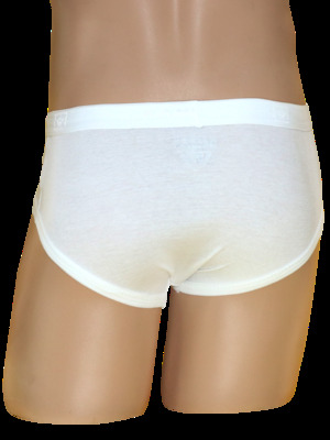 Arrow Y Brief Outer Elastic