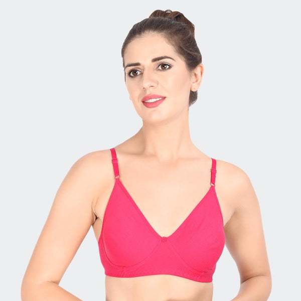 Prithvi Rosni Plain Bras