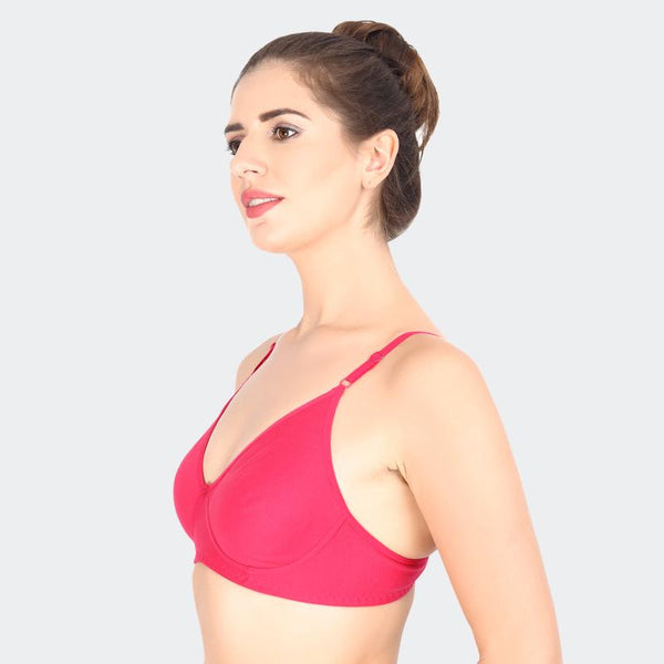 Prithvi Rosni Plain Bras