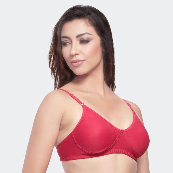 Prithvi Rosni Plain Bras
