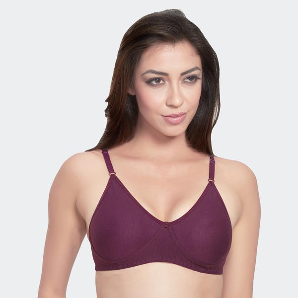 Prithvi Rosni Plain Bras