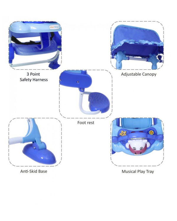 1st Step Swing With 3 Point Safety Harness And Adjustable Canopy - Blue