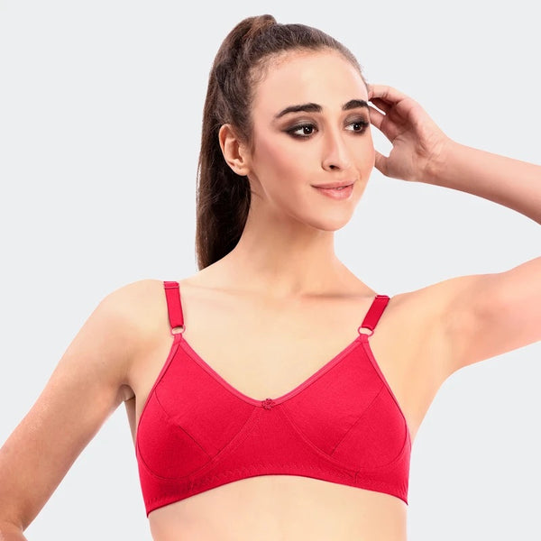 Prithvi Beauty Bra