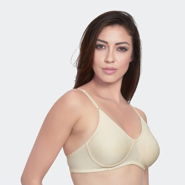 Prithvi - Roshni C Cup