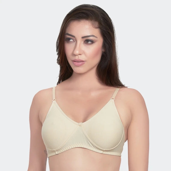 Prithvi - Roshni C Cup