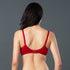 products/INT01-Red-Back_59e6d641-9743-4081-85a1-be660b646e5b.jpg