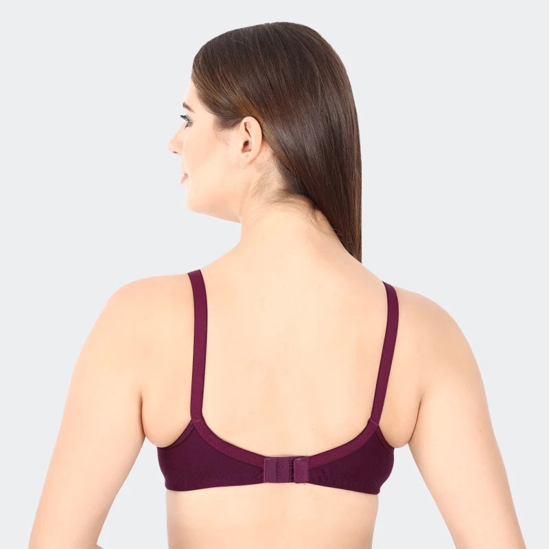 Prithvi Beauty Bra Pack Online at Out Store –